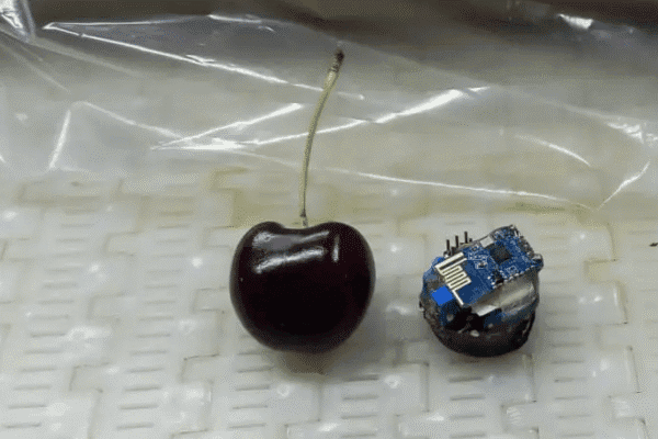 Agro 4.0: desarrollan una cereza “electrónica” que permitirá mejorar los procesos productivos