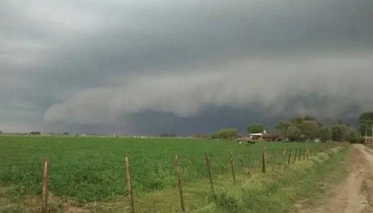 Cambió el panorama productivo: destacan el impacto positivo de las “oportunas” lluvias