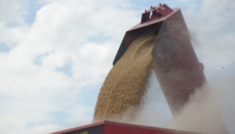 Exportaciones: el Gobierno lanzó una nueva herramienta para cumplir exigencias de países importadores