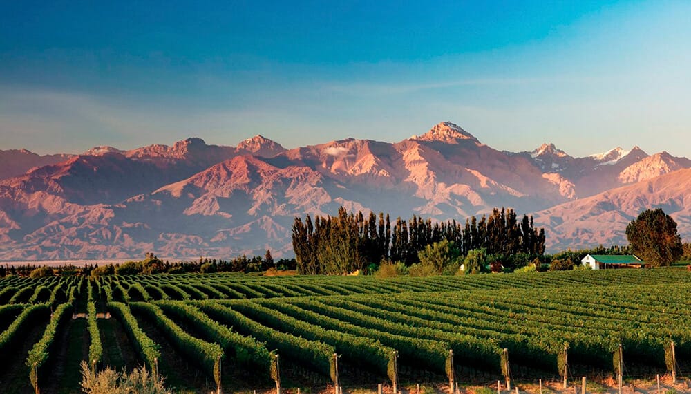 Argentina, tierra de vinos: el enoturismo apuntala el plan de crecimiento de la vitivinicultura