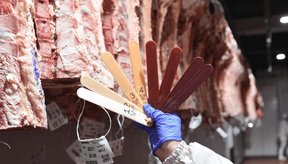 Para “mejorar la transparencia” de la cadena bovina, el Gobierno actualizó un sistema informativo