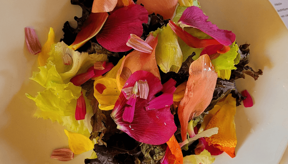 Alimentación alternativa y saludable: desde Cuyo dan pautas para el cultivo de flores comestibles