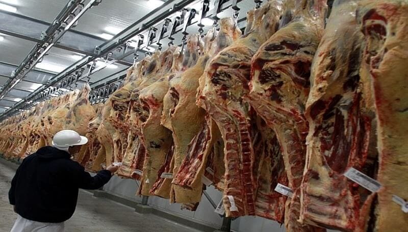 Un año de retroceso: la faena bovina entra al último trimestre con sus indicadores en baja