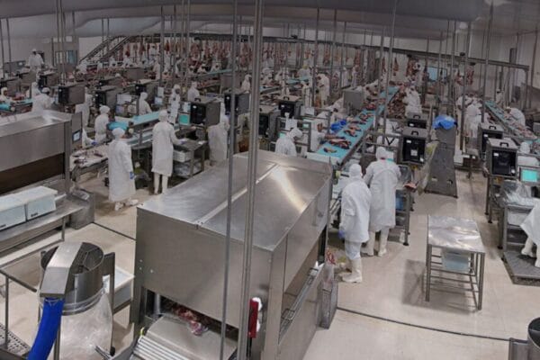 Dos provincias se sumarán al estatus nacional de sanidad en frigoríficos que controla el SENASA a nivel país