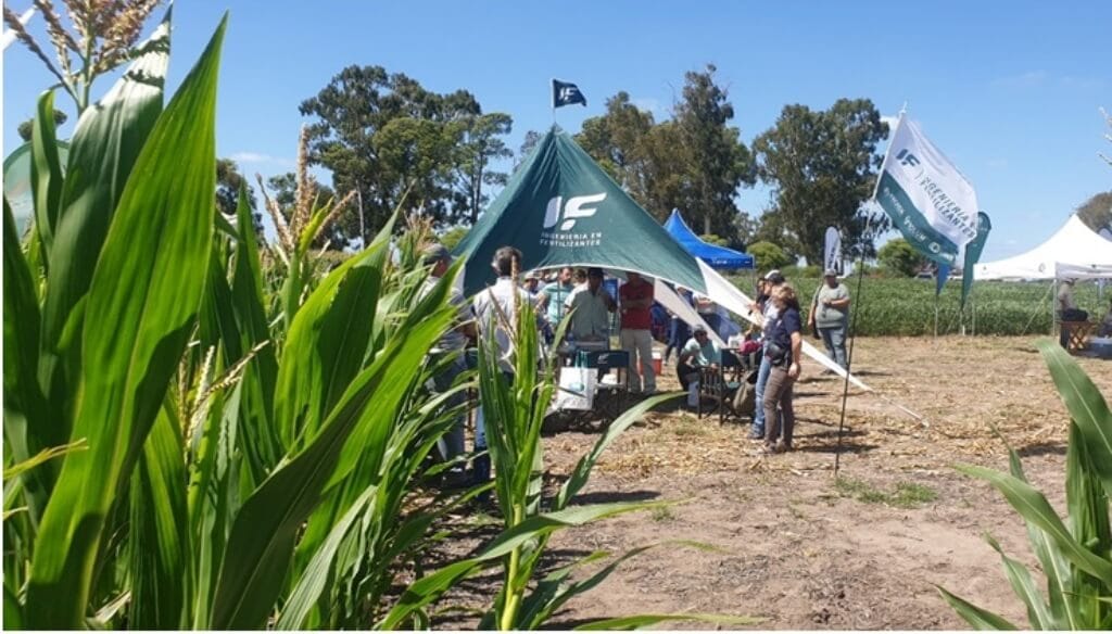Por la vía foliar, la fertilización con nitrógeno gana eficiencia y productividad