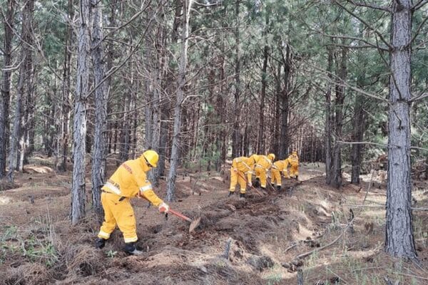Tras los incendios en Córdoba, reclaman mayor prevención en la Mesopotamia y el Delta
