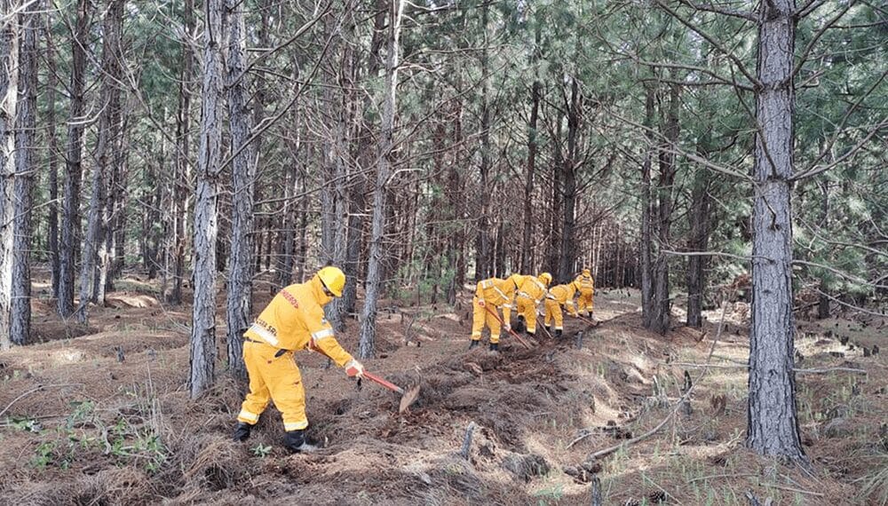 Tras los incendios en Córdoba, reclaman mayor prevención en la Mesopotamia y el Delta