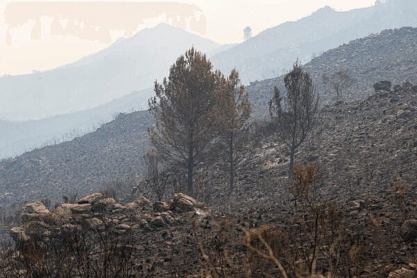 Incendios: Córdoba pidió a la Nación que homologue la declaración de desastre agropecuario