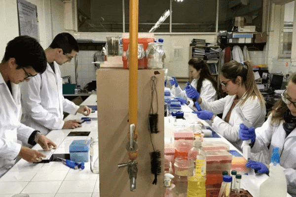 La discusión por el presupuesto universitario: desde la FAUBA advierten por un éxodo de profesionales