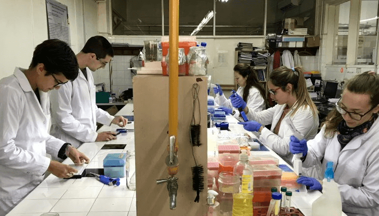 La discusión por el presupuesto universitario: desde la FAUBA advierten por un éxodo de profesionales