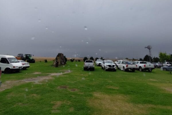 El clima sopla a favor: llegan más lluvias, que alcanzarán a casi todas las zonas productivas