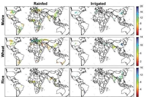 Con inteligencia artificial, científicos argentinos “mapearon” la productividad agrícola de todo el Planeta
