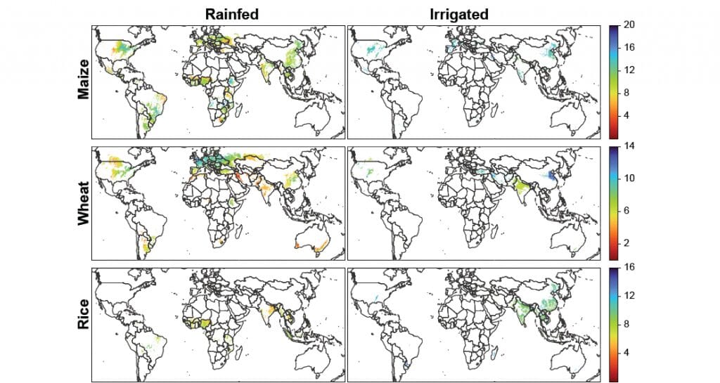 Con inteligencia artificial, científicos argentinos “mapearon” la productividad agrícola de todo el Planeta