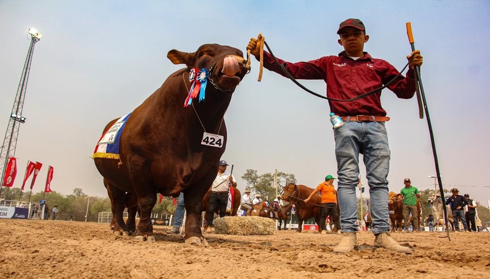 El modelo ganadero de Paraguay, un caso de éxito que busca expandirse a nivel internacional