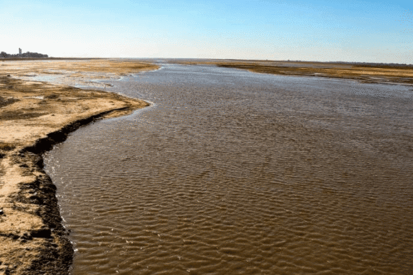 Se agrava la bajante del Río Paraná: “En más de 100 años, no se registra una sequía hidrológica a este nivel”
