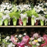 Flores para Todos los Santos: menos producción nacional porque el agricultor «prefiere sembrar menos e ir a lo seguro»