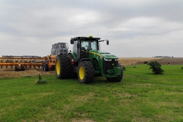 Soja: la primera proyección de siembra del Gobierno confirma un fuerte crecimiento