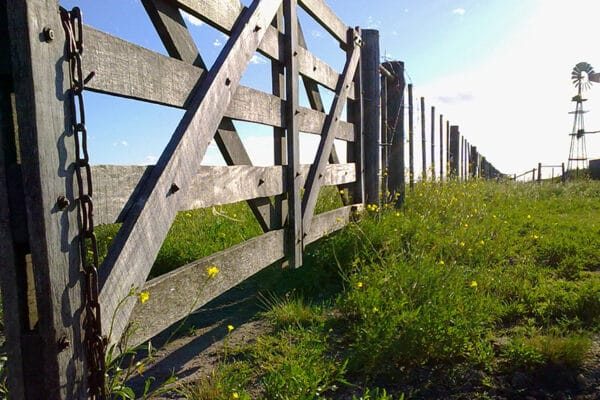 Afirman que el mercado inmobiliario rural pasa su mejor momento en una década