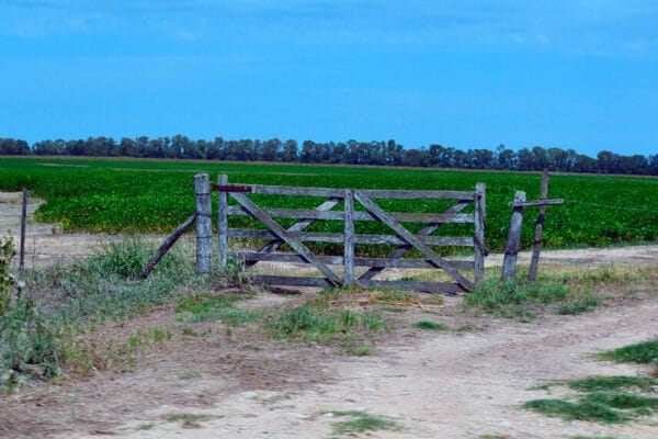 El mercado inmobiliario rural mira con buenos ojos el blanqueo de capitales