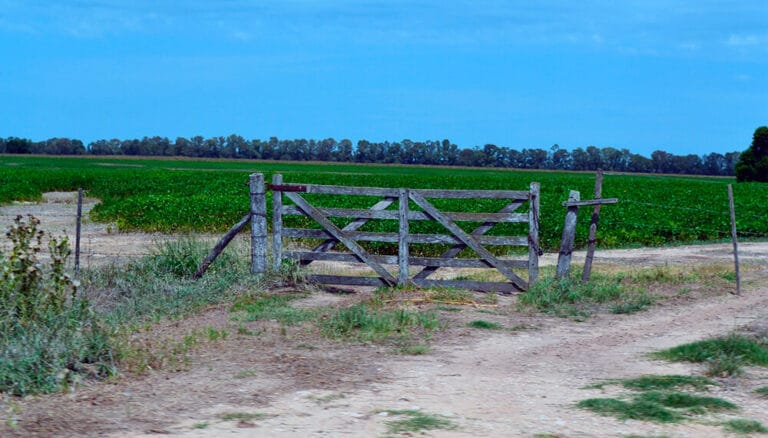 El mercado inmobiliario rural mira con buenos ojos el blanqueo de capitales