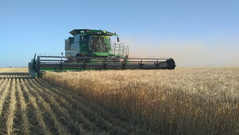 Una buena noticia de cara a la cosecha: en un mes, el trigo subió 18% en Chicago