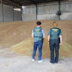 Aceitunas, naranjas, material de riego…: los ladrones diversifican sus acciones y roban más de 200 toneladas de trigo Aceitunas, naranjas, material de riego…: los ladrones diversifican sus acciones y roban más de 200 toneladas de trigo