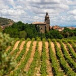 Regiones de España: un viaje por donde la agricultura y la naturaleza se fusionan para ofrecer experiencias únicas