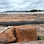 La letra pequeña: denuncian que las ayudas directas de la DANA dejarán fuera a más del 80% de los agricultores y ganaderos La letra pequeña: denuncian que las ayudas directas de la DANA dejarán fuera a más del 80% de los agricultores y ganaderos