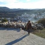 El Ministerio destina 1,5 millones a 1.060 explotaciones agrarias de titularidad compartida para ayudar a pagar las cuotas de la Seguridad Social