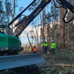 Cesefor impulsa la digitalización forestal en Castilla y León con el proyecto SingleTree y optimizar las cadenas de valor forestales Cesefor impulsa la digitalización forestal en Castilla y León con el proyecto SingleTree y optimizar las cadenas de valor forestales