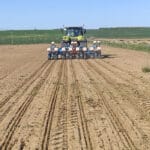 CEREAPI: una apuesta agrícola sostenible que une a la cerveza y a la miel sembrando plantas melíferas en los márgenes de los campos de cereal