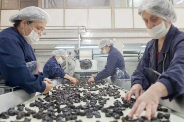 ¿Cómo y para qué hacer un clúster?: el caso de la ciruela industrial en el sur de Mendoza