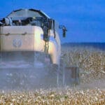 Escasa operativa en la lonja del Ebro con una demanda que sigue escondida y una oferta que tampoco presiona Escasa operativa en la lonja del Ebro con una demanda que sigue escondida y una oferta que tampoco presiona