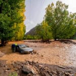 La Generalitat Valenciana destina 20 millones para reparar caminos rurales y garantizar el acceso a las explotaciones agrícolas y ganaderas