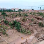 Agroseguro inicia, transcurrido menos de un mes, el pago de las primeras indemnizaciones por los daños de la DANA en cultivos agrícolas