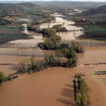 Tras más de 1.000 hectáreas de cultivos, infraestructuras y caminos dañados por la DANA, piden a la CH Tajo limpiar los cauces con urgencia