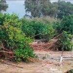 Primer enfado: reclaman la inclusión urgente de la totalidad de los municipios malagueños afectados por la DANA en las ayudas estatales