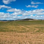 Protestas por el reparto de las ayudas de la sequía: piden priorizar al agricultor profesional, ampliar los municipios afectados e incluir los leñosos