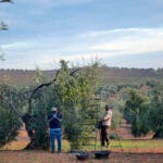 La preocupación por la bajada de precios del aceite en origen sigue mirando a las cooperativas, a las que piden no vender por debajo de costes La preocupación por la bajada de precios del aceite en origen sigue mirando a las cooperativas, a las que piden no vender por debajo de costes