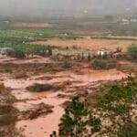 Las ayudas urgentes por la DANA incluyen reducciones fiscales para la actividad agraria tanto en el Impuesto sobre la Renta como en el IVA