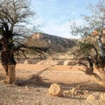 Ni una agricultora, ni un agricultor menos