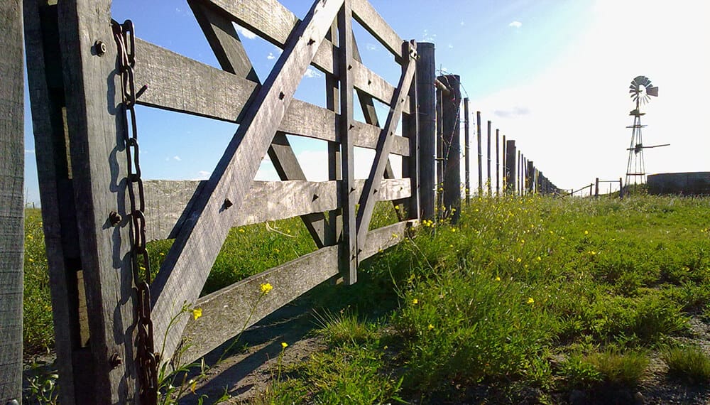 “Está activo y sostenido”: el mercado inmobiliario rural sigue con la flecha hacia arriba