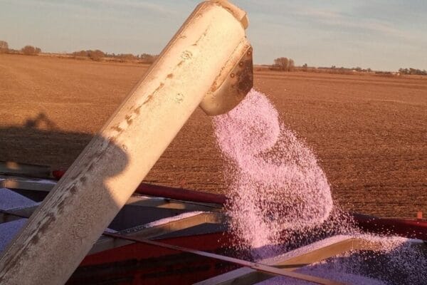 Tratamiento de fertilizantes con polímeros solubles: una “resina protectora” que evita pérdidas de nitrógeno