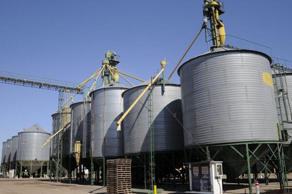 Los acopiadores se sienten “discriminados” y piden eliminar la exención de Ganancias a las cooperativas