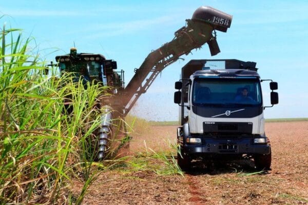 Las exportaciones de la caña de azúcar están dulces: crecieron casi 1000% en octubre