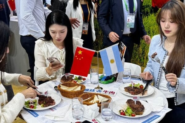 Exportaciones de carne: aunque crecen en otros mercados, la “aspiradora” china sigue firme