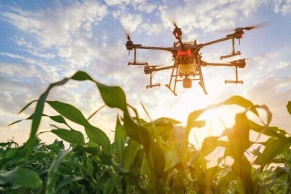 Con U$S 1,8 millones, desde Rosario financiarán startups con soluciones innovadoras agtech Con U$S 1,8 millones, desde Rosario financiarán startups con soluciones innovadoras agtech