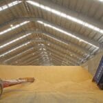 Nuevas repeticiones en las cotizaciones del cereal al volver las pocas ganas de comprar y de vender en la lonja del Ebro