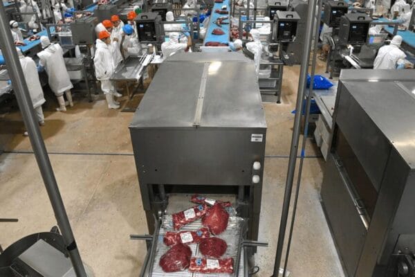 Los precios consolidan su repunte y el aporte de dólares de la carne vacuna crece con fuerza