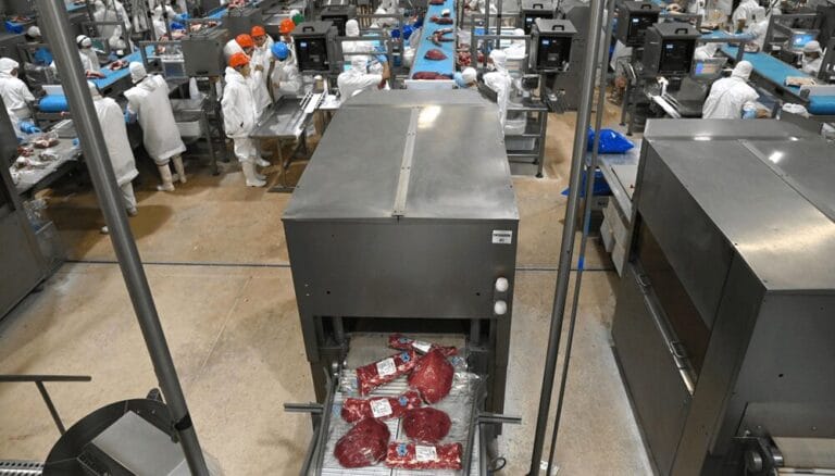Los precios consolidan su repunte y el aporte de dólares de la carne vacuna crece con fuerza